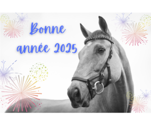 bonne année 2025 ecuries Fabrice GELLET